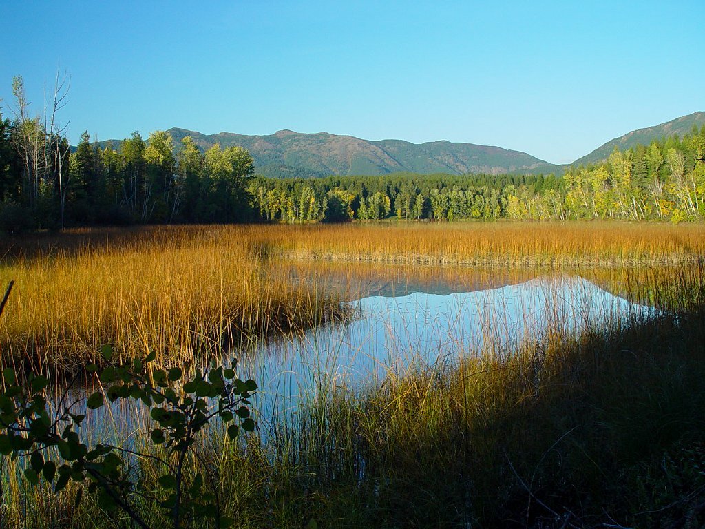 Half Moon Cabin10.jpg